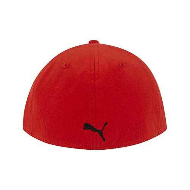 PUMA Unisex-Adult Evercat Dillon Stretch Fit Cap