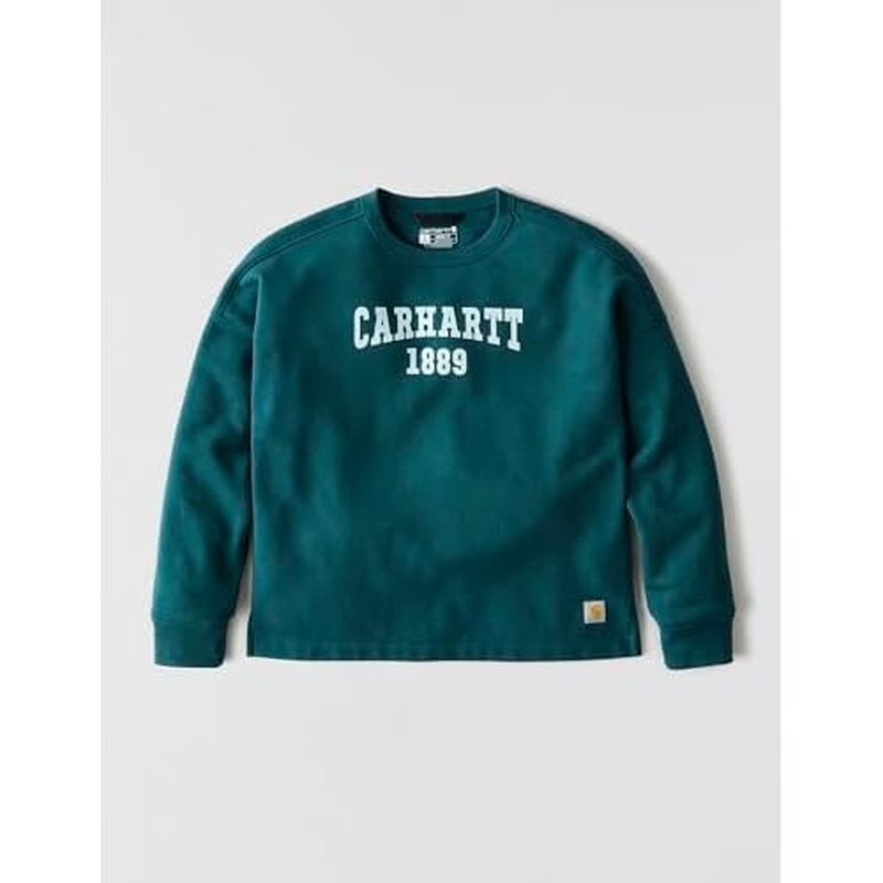 Carhartt womens Loose Fit Midweight Graphic Sweatshirt