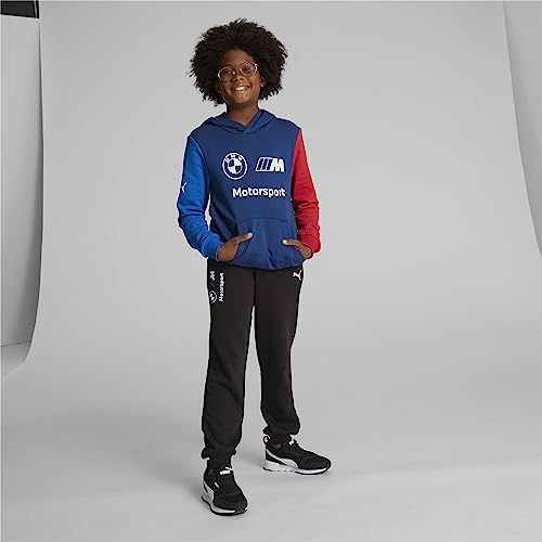 PUMA Kids' BMW M Motorsport Hoodie