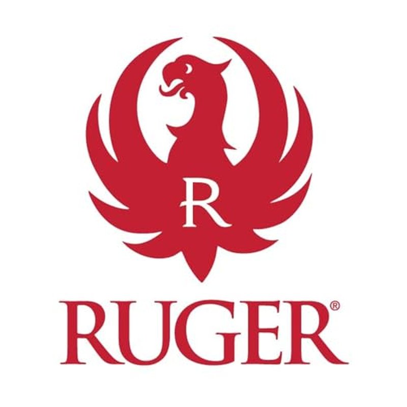 Ruger Shooting Range Bag by Allen Company - Tactical Gun Case w/ Pistol Rug and 6 Mag Pockets - MOLLE Compatible - 11.5" x 7" - Black