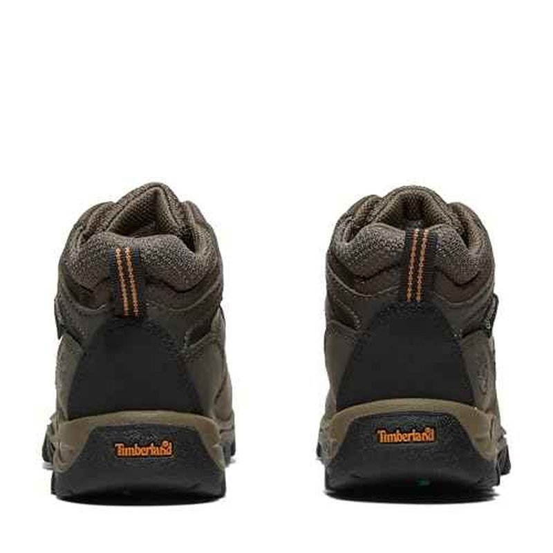 Timberland unisex-child Mt. Maddsen Waterproof Mid Hiking Boot