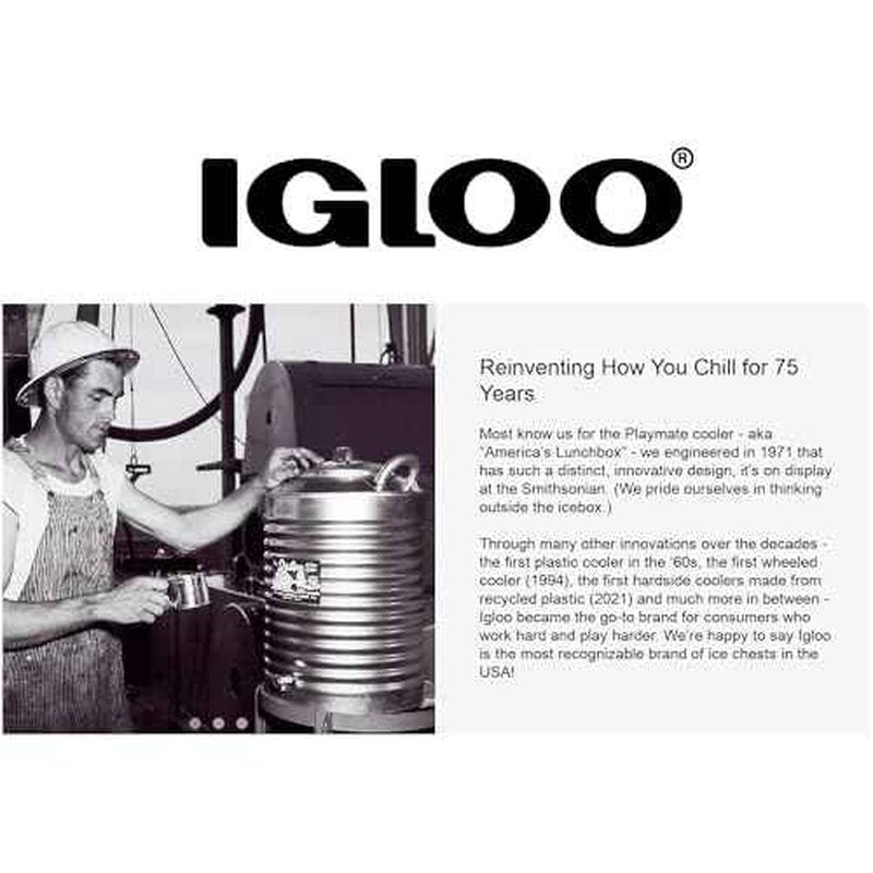 Igloo Hinge for 25, 52, 72 Qt BMX Coolers, Plastic, Black