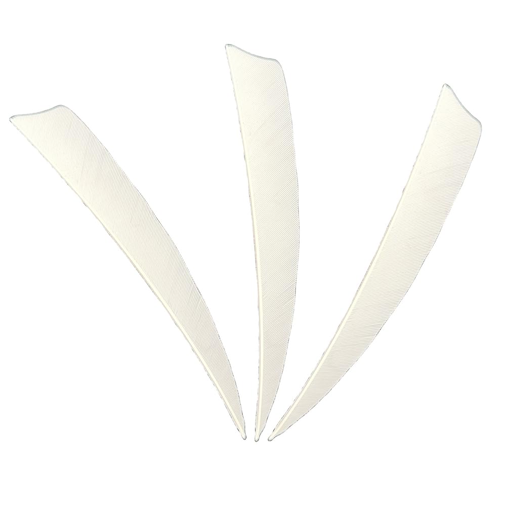 XXRRP ARCHERY Archery Arrows Feather Fletching 5 Inch Nature Turkey Feathers Vanes for Hunting Target Shooting (50 Pack) (Right, White)
