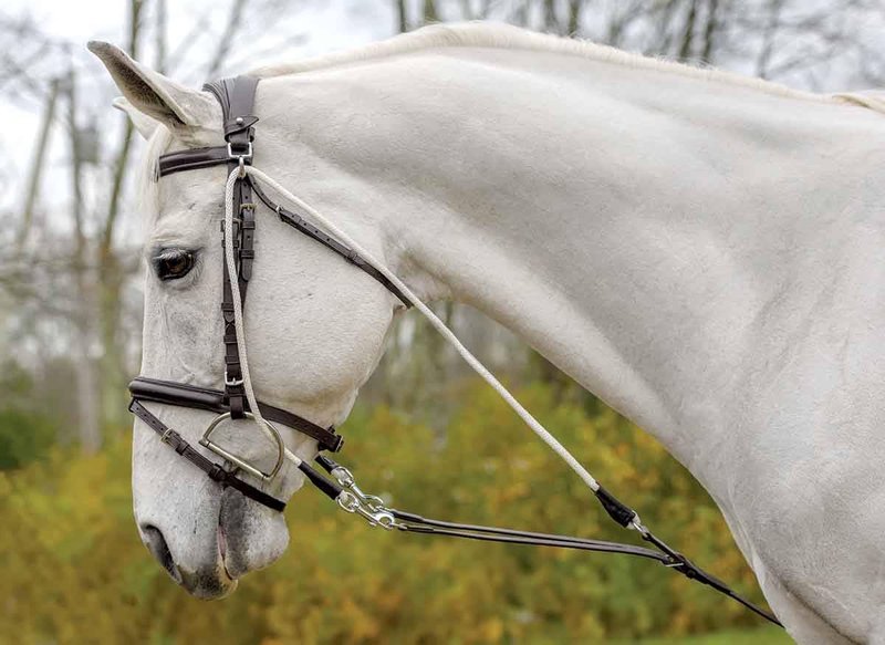 Shires Avignon DE GOGUE TRAINNG AID (Full, Black)