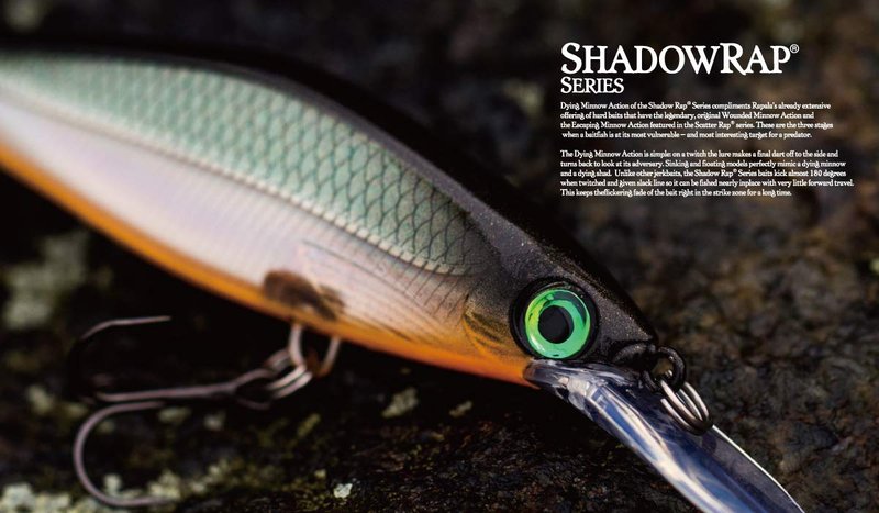Rapala Shadow Rap Shad Deep 09 SDRSD09CLN: Shadow Rap Shad Deep 09 Clown, one size