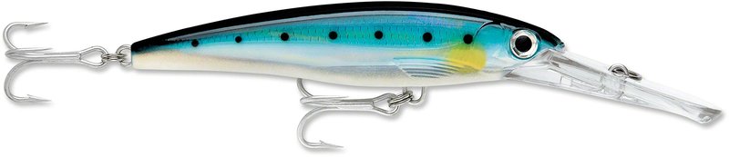 X-Rap Magnum 40 Blue Sardine