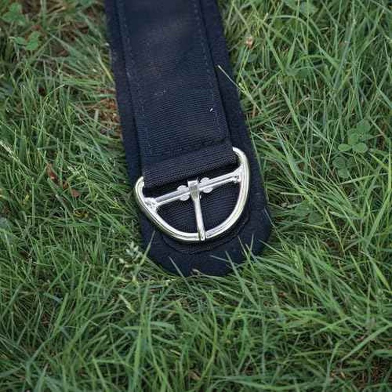 Weaver Leather Felt Lined Draft Horse Deluxe Super Cinch, Black, 50"