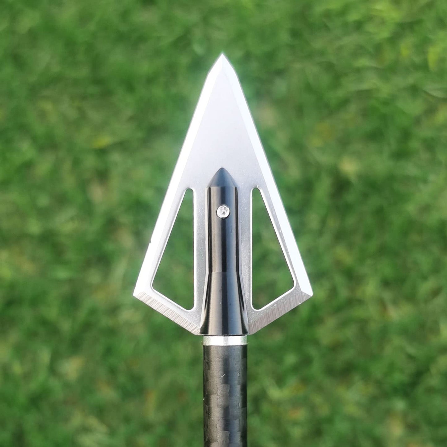 LeeMui Aluminum Hunting Archery Broadheads Blades Grain Screw-in Arrow Heads Tips Portable Case for Arrowheads Broadheads