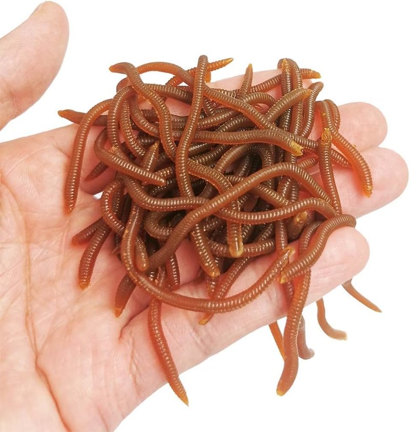 Lifelike Fishing Soft Lure - 1.6in/3.3in/3.9in Trout Worm Bait | Realistic Bloodworm Grub Design