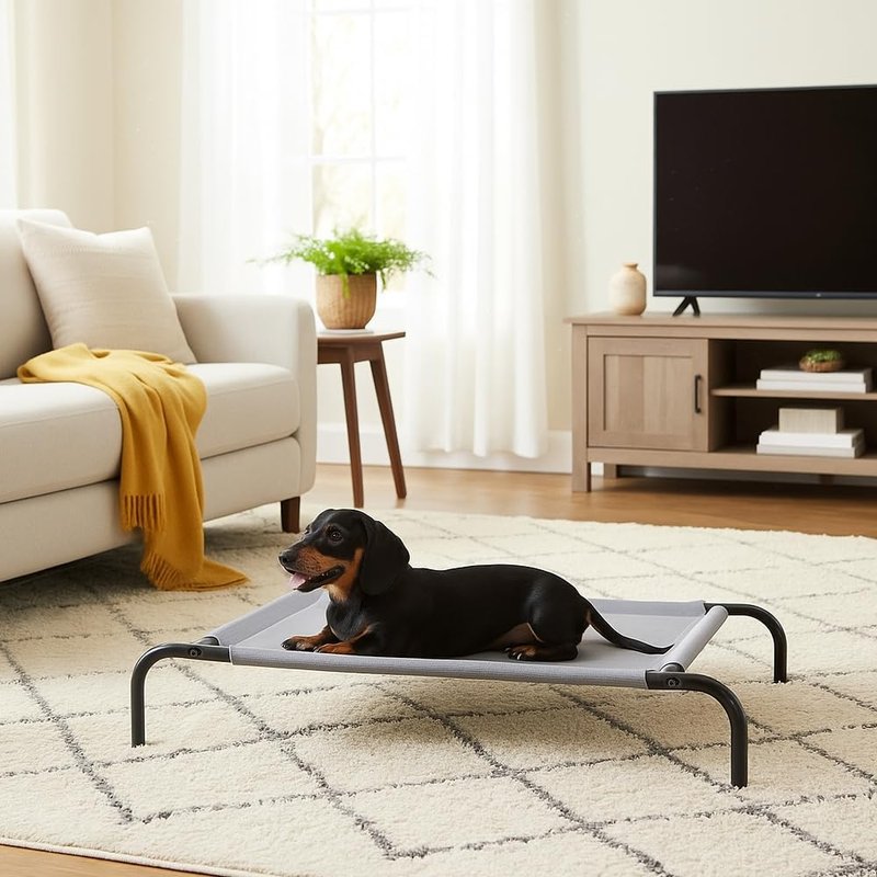 Elevated Dog Bed - Cooling Breathable Design with Metal Frame | Small Dogs 36" x 22" x 7.5" - Grey