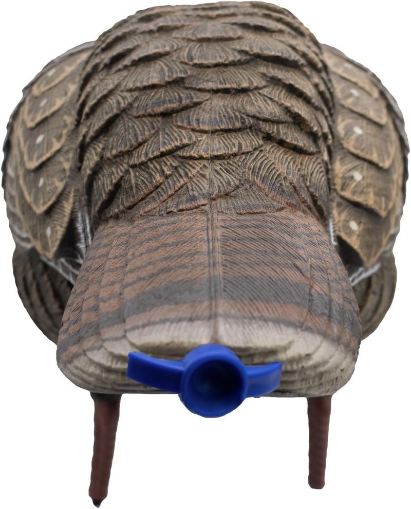 Live Breeder Hen Turkey Decoy - Realistic Hunting Decoy for Effective Turkey Lure