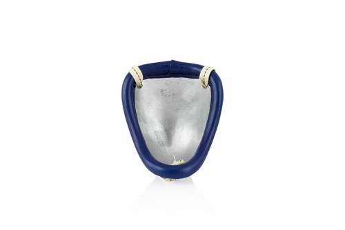 Fairtex Muay Thai GC2 Groin Steep Cup for Combat Sports | Muay Thai & Kickboxing Groin Protection for Men, Youth, & Boys Stainless Steel & Adjustable Fit (XLarge-Blue)