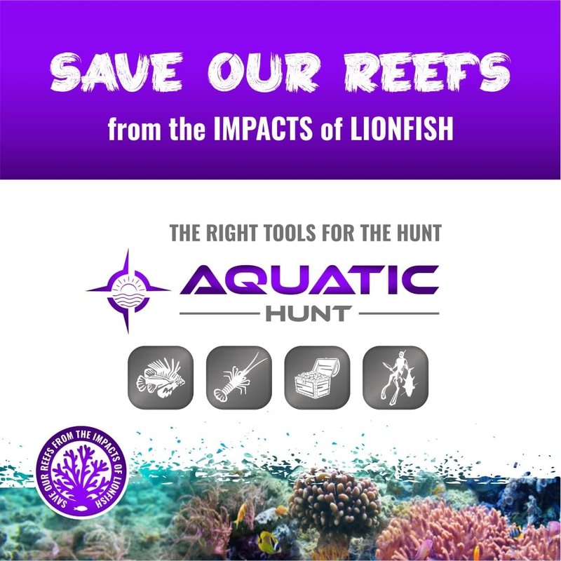 5 Point Non-Barbed 8mm Thread Spear Tip for Lionfish | 36” Pole Spear Accessory