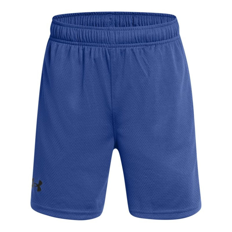 Under Armour Boys Tech Mesh Shorts, (432) Tech Blue / / Black, Medium