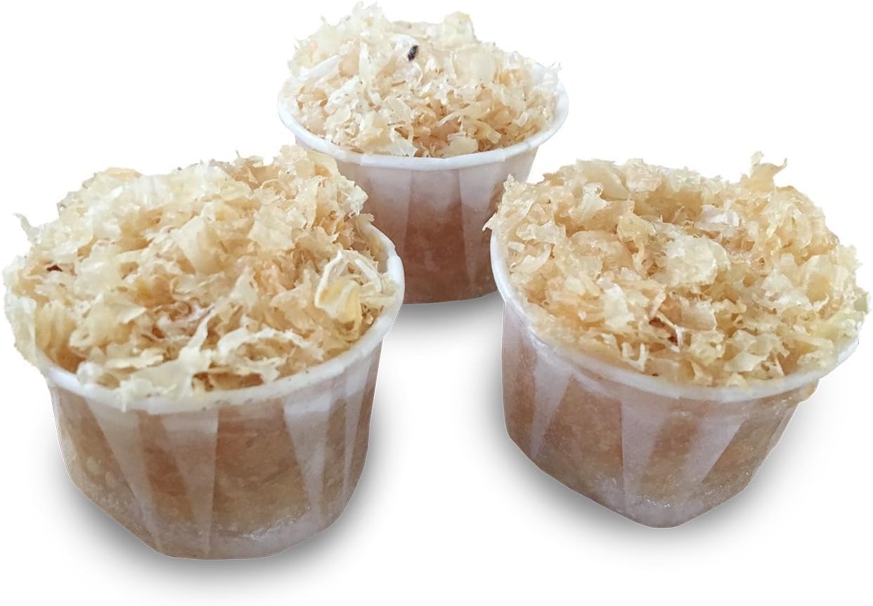 Light a Fire All Natural Waterproof Fire Starters - XL Bag 60 Extra Long Lasting Fire Pods. Perfect for Camping, Fire Pits, Fireplaces, Wood Stoves, BBQ Smoker. Proudly Made in USA