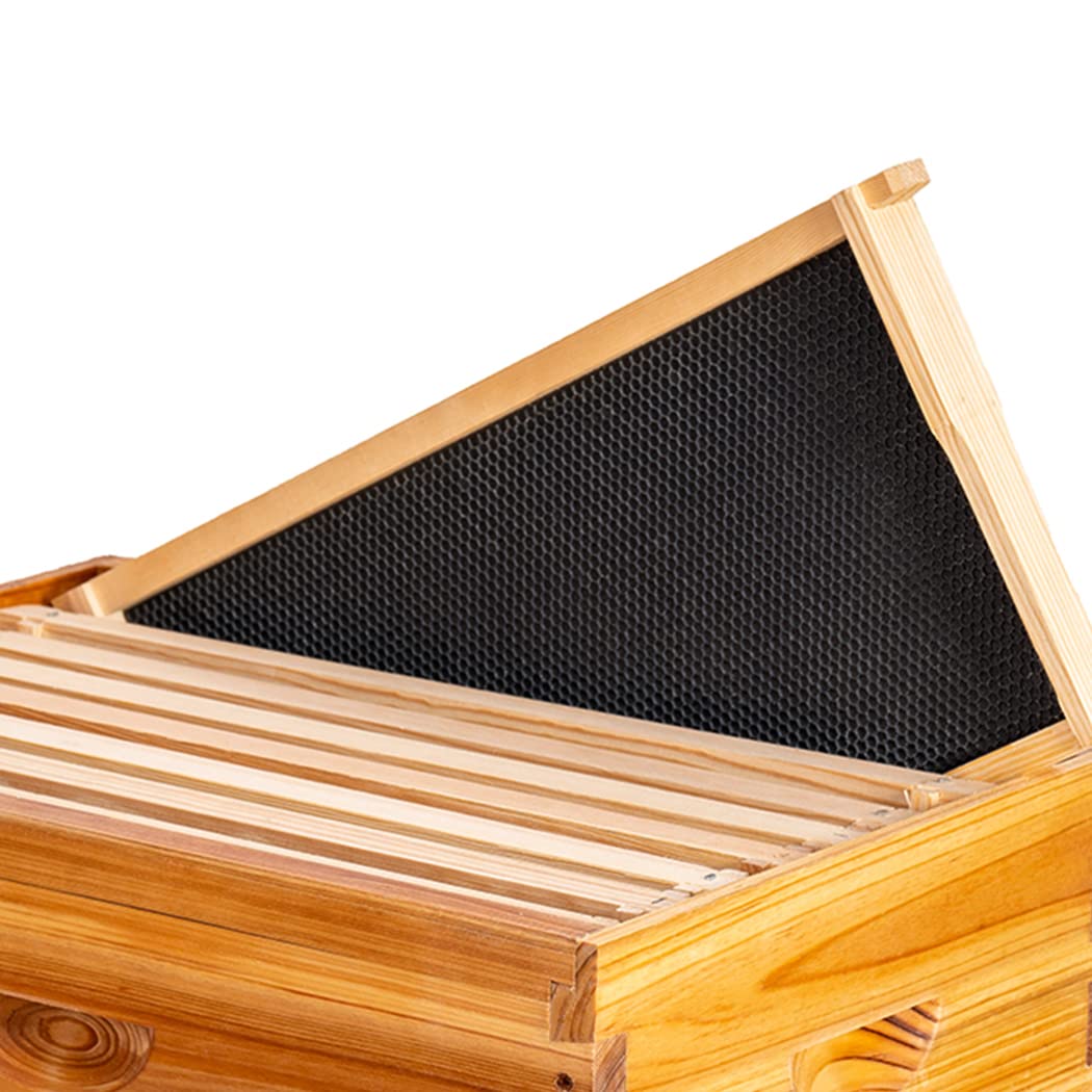 MayBee 20 Pack Honey Bee Frames with 100% Beeswax Coated Food Grade Foundation Sheets, Complete Unassembled Deep Beehive Frames and Foundations
