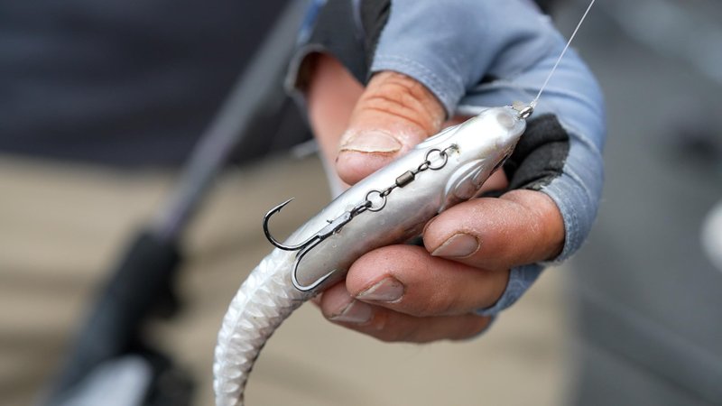 Berkley PowerBait CullShad Fishing Soft Bait