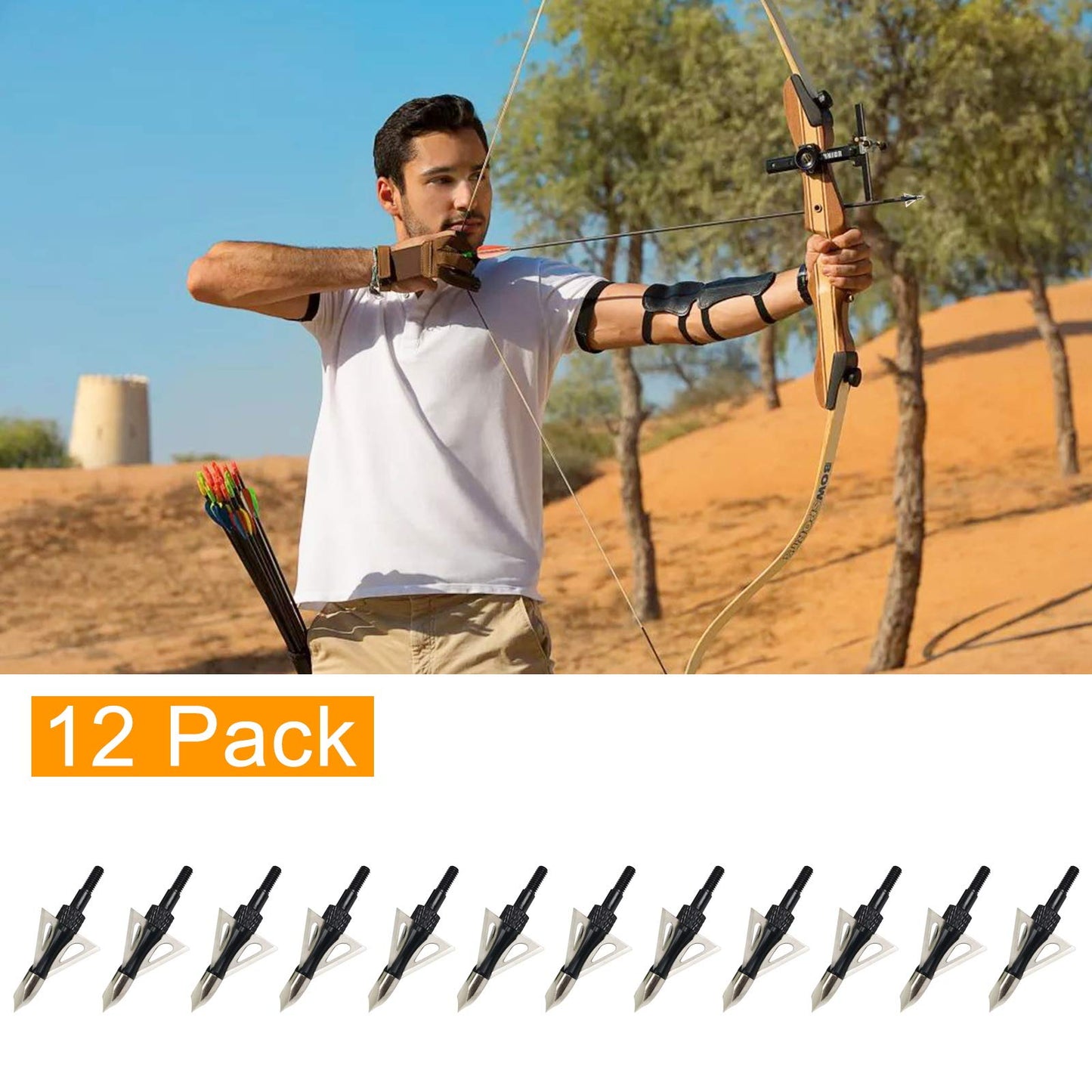 LeeMui Hunting Broadheads 12PK 100 Grains Screw-in Arrow Archery 3 Blades Hunting Heads Arrow Tips Compatible with Crossbow and Compound Bow + 1 PK Broadhead Storage Case (zz-Black)