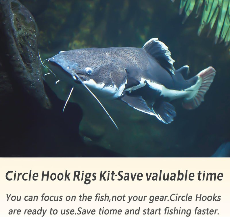 Fishing Hook Rigs - Heavy Duty Circle Hooks 1/0-10/0 with Stainless Steel Leader | 25/50 Pack for Catfish, Shark & Surf Fishing