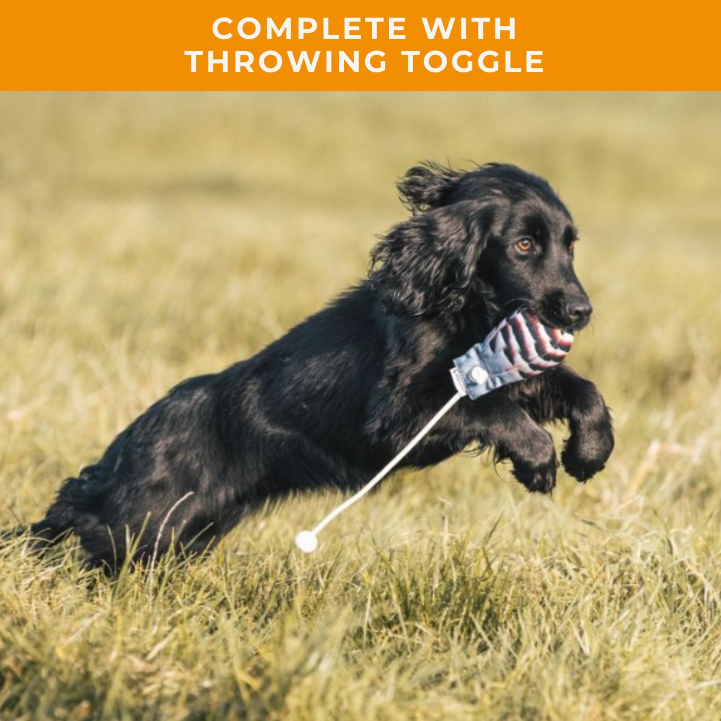 The Original Clone® Realistic Game Bird Dog Training Dummy - Canvas Dummy with HD Feather Print for Gundog & Puppy Training - Dog Hunting Equipment (Snipe Mini Launcher Dummy)