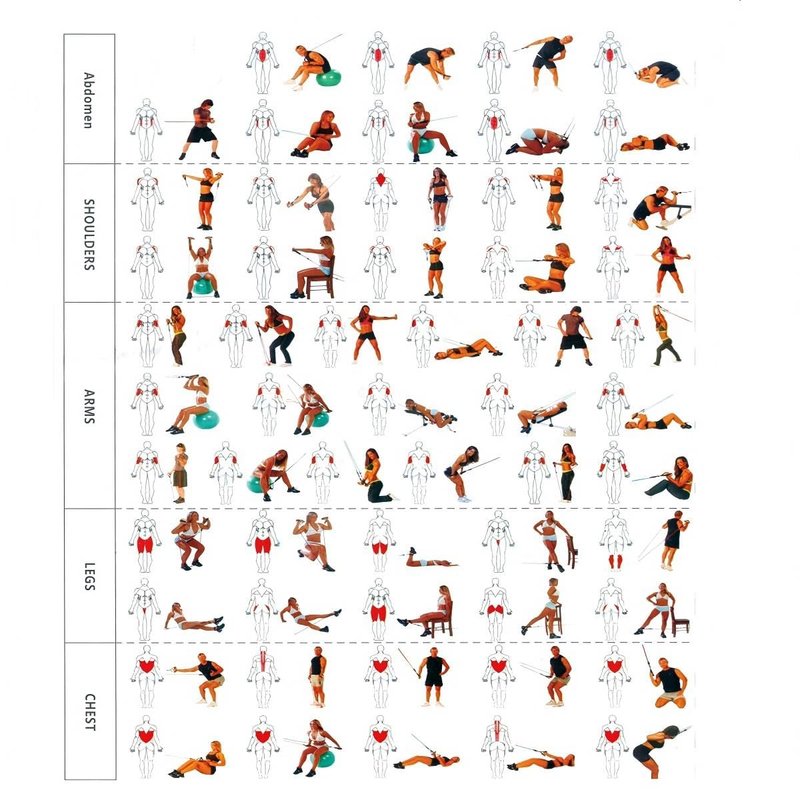 Resistance Bands Set, Exercise Bands, Work Out Bands with Handles, Up to 150lbs, Color Coded Exercise Bands, Exercise Guide, Storage Bag