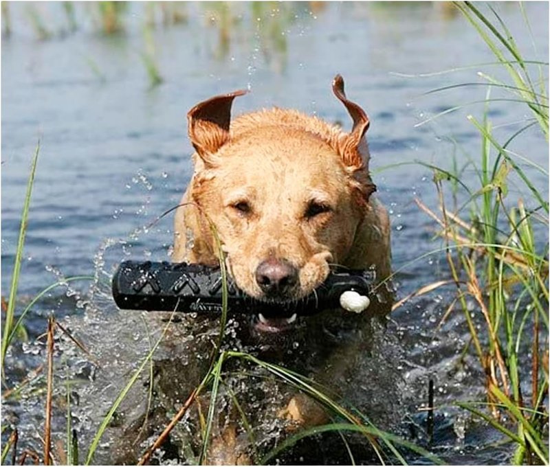 Avery HexaBumper Retriever Dummy - Hexagonal Floating Design, Easy-Grip Texture | Black, 2" Size for Hunting & Training