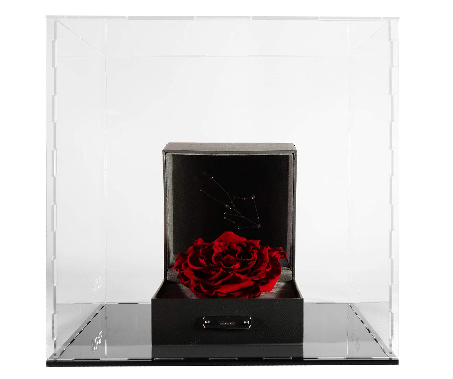 Clear Acrylic Display Case-Assemble Countertop Box for Display-Clear Display Box,Dustproof Protection Showcase for Toy Collectibles (10x10x10inch)
