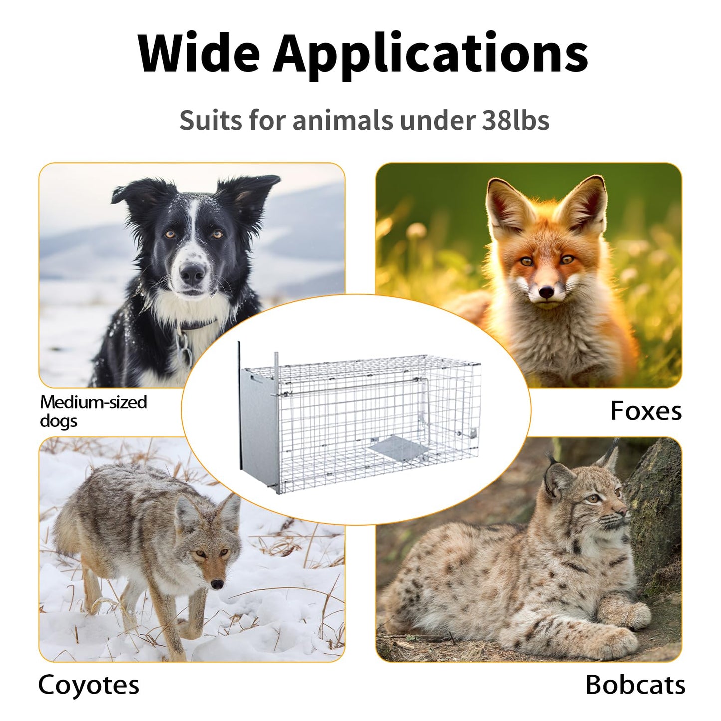Timaze 42" Large Foldable Humane Live Animal Trap Cage