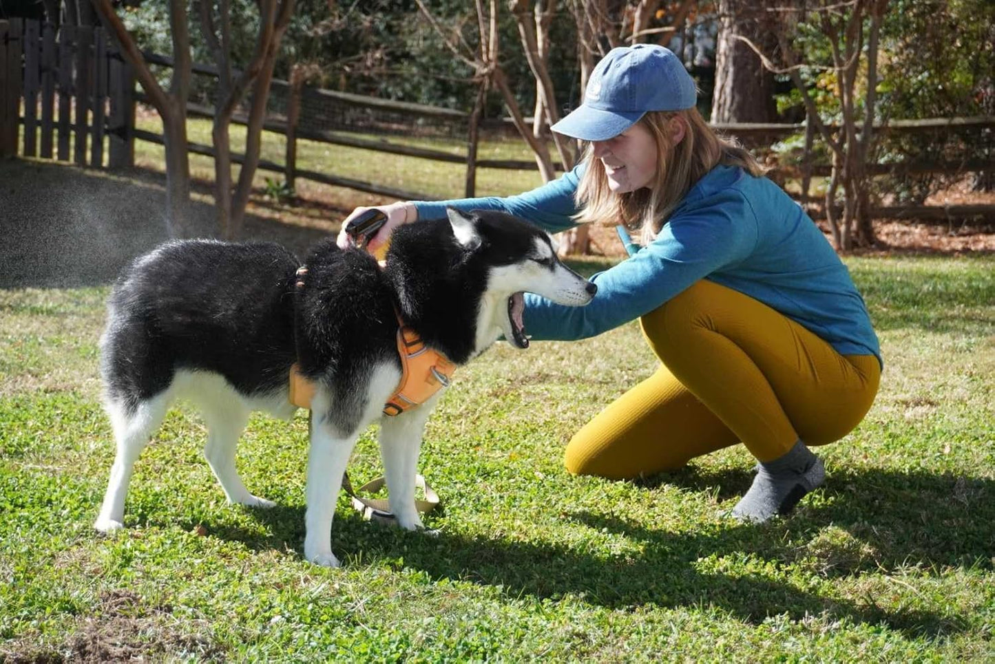 Permethrin Insect Repellent Treatment for Dogs - Sawyer Products SP624