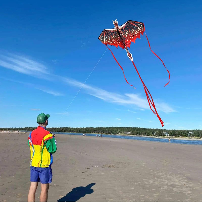 Mint's Colorful Life Dragon Kite for Kids & Adults, Easy to Fly Kites for Beginners, Large Single Line Kite for Beach Trip with 300ft String(Red)