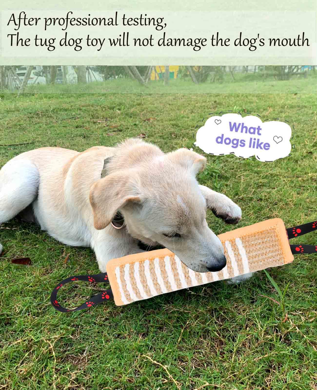 Clysoru Dog Tug Toy Tough Jute Bite Pillow Lasting Training Equipment Puppy to Large Dogs Interactive for Large and Small (Brown Footprint)