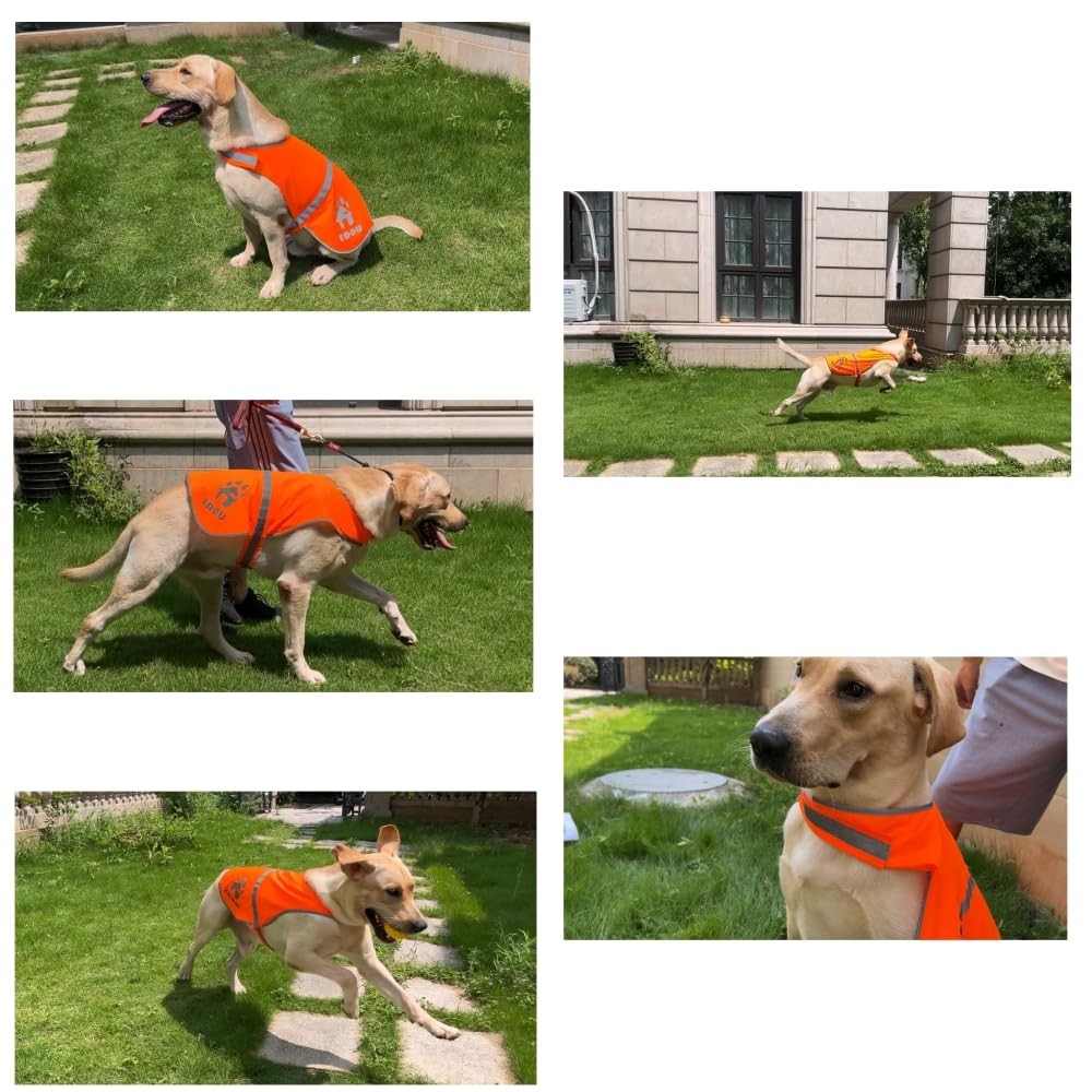 IDOU Orange Reflective Dog Safety Vest - High Visibility for Walking, Jogging & Training - Size XS