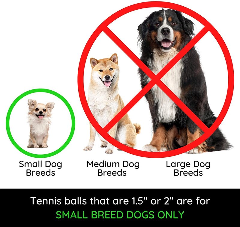 Midlee Happy Birthday Dog Tennis Balls (6 Pack) (Regular, Pink)
