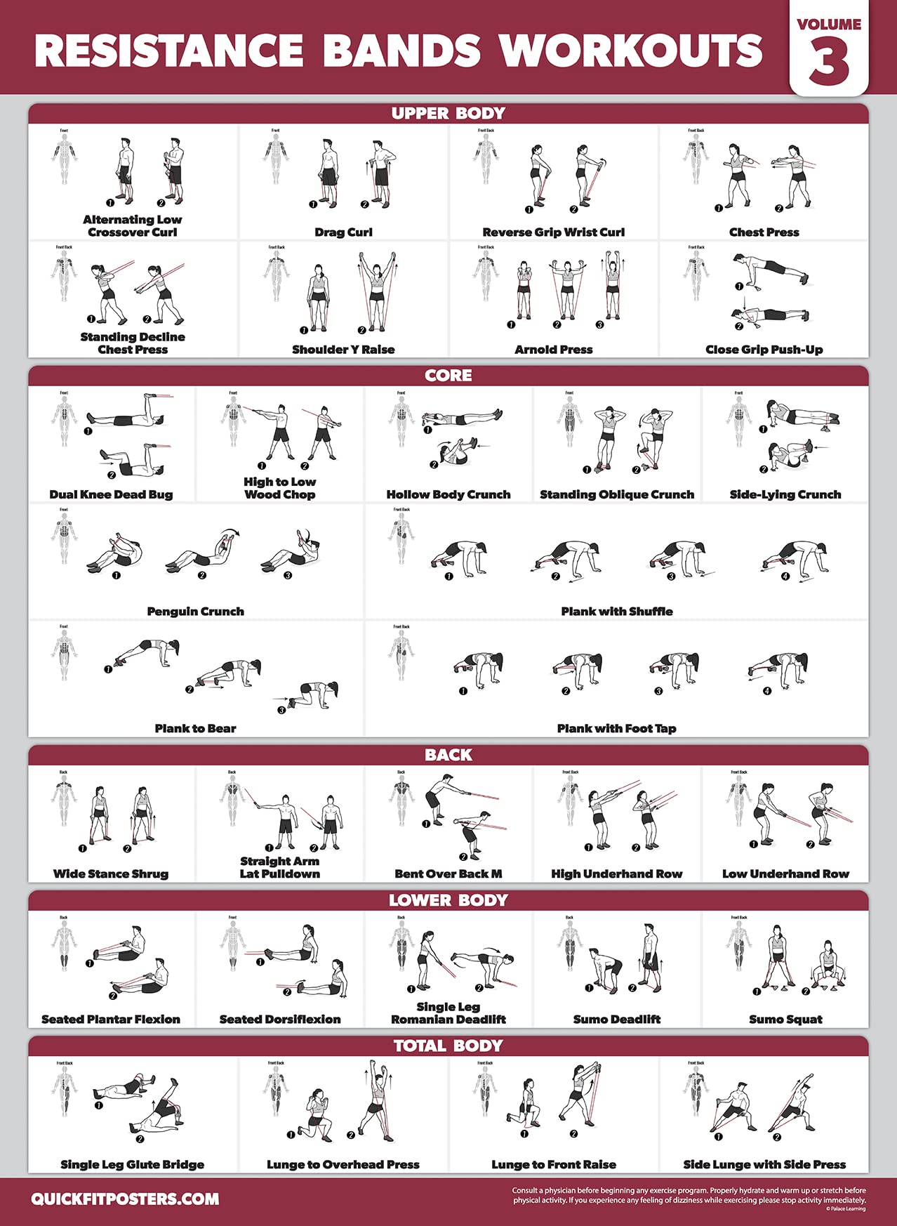 Palace Learning 4 Pack - Resistance Bands Workout Posters Volume 1, 2 & 3 + Bodyweight Exercise Chart (LAMINATED, 18" x 24")