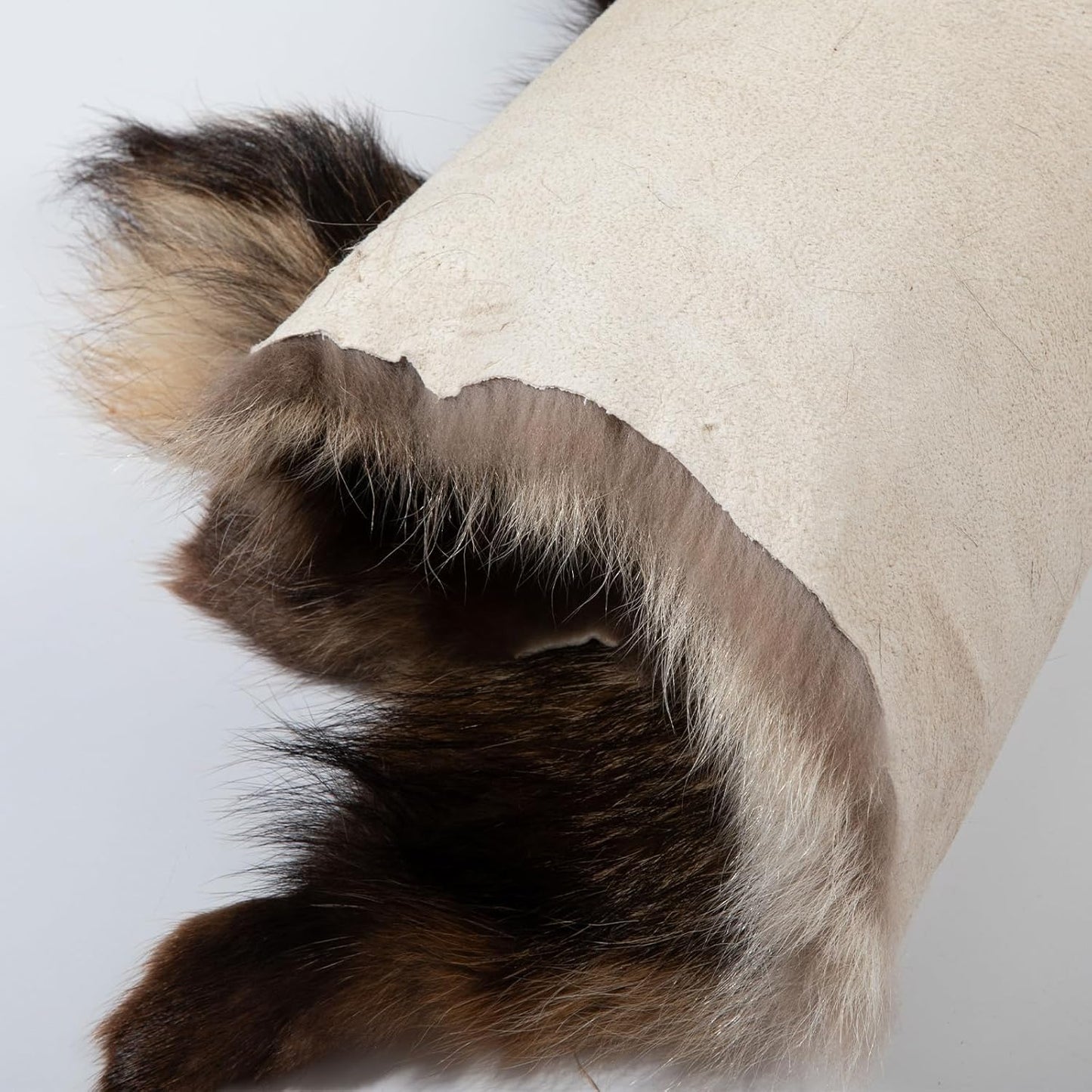 Natural Tanned Raccoon Fur Pelts - Premium Quality Real Skin for Fly Tying & Crafts | 29.5-31.5" Length, 9.8-11.8" Width, Brown