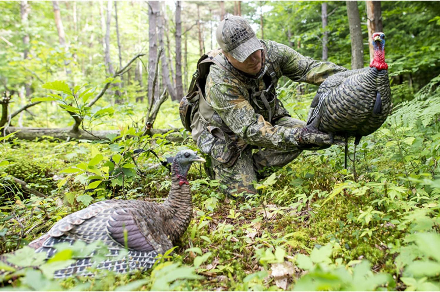 Avian-X LCD Laydown Hen Turkey Decoy - Realistic Collapsible Design with Carry Bag & Stake | AVX8011