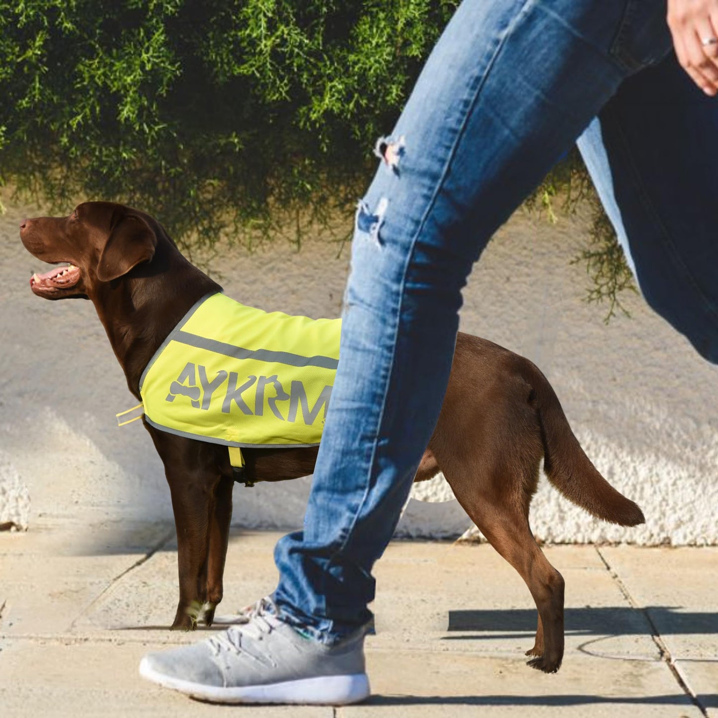 Yellow Reflective Dog Vest for XLarge Breeds, High Visibility Dog Safety Vest Harness with Removable Bell Keep Safe from Hunting, Training & Cars Accidents