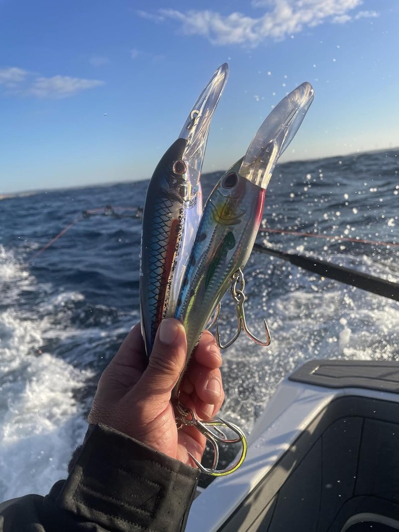 DTX Minnow Lure with Patented Autotune System - Distressed Baitfish Action | BKK Diablo