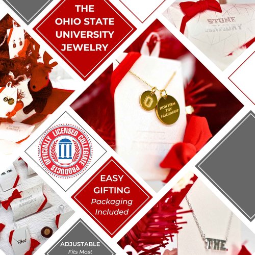 Stone Armory Necklace for Ohio State Buckeyes - 18K Gold-Plated Stainless Steel Jewelry Designed for Sensitive Skin - Adjustable 16-20in Chain, Gift for Ohio State University Fans