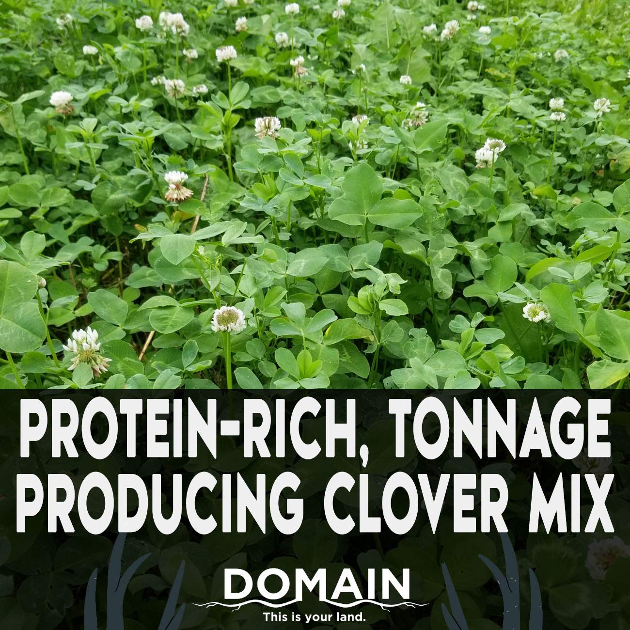 Domain Outdoor Comeback Kid Food Plot Seeds for Deer, Special Varieties of Clover & Alfalfa, Great to Plant in Spring, High Protein Forage, Year-Round Attraction, Lasts up to 5 Years, 1/2 Acre