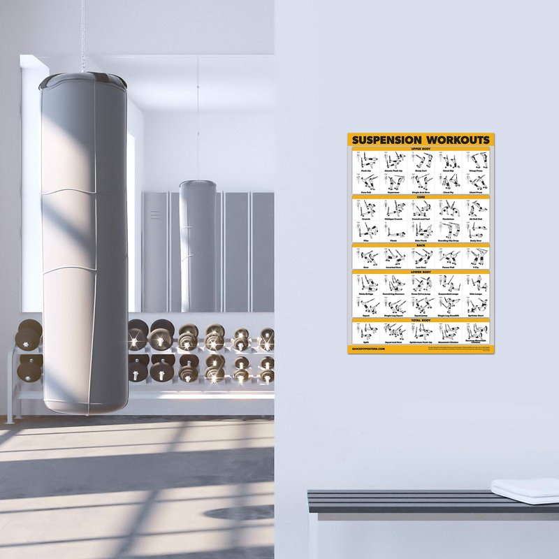 10 Pack, Exercise Workout Poster Set - Dumbbell Volume 1 & 2, Suspension, Kettlebell, Resistance Bands, Stretching, Bodyweight, Barbell, Yoga Poses + Dumbbell Exercise Cards, 18" x 24"