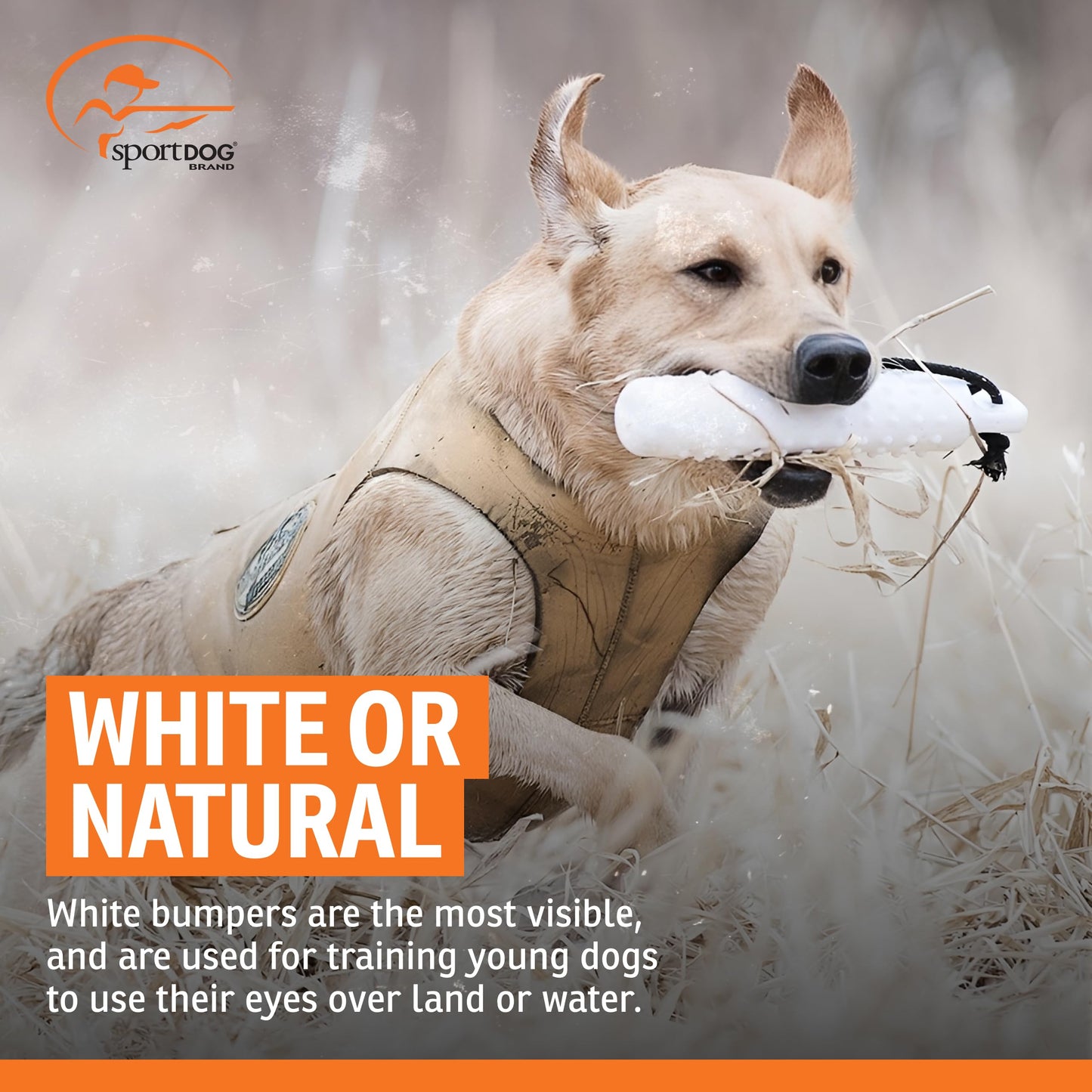 SportDOG White Plastic Dummies - Durable Soft Plastic Retriever & Hunting Bumper Training Accessory for Dogs - All Breeds - Non-Toxic Weatherproof Material - High-Visibility Color