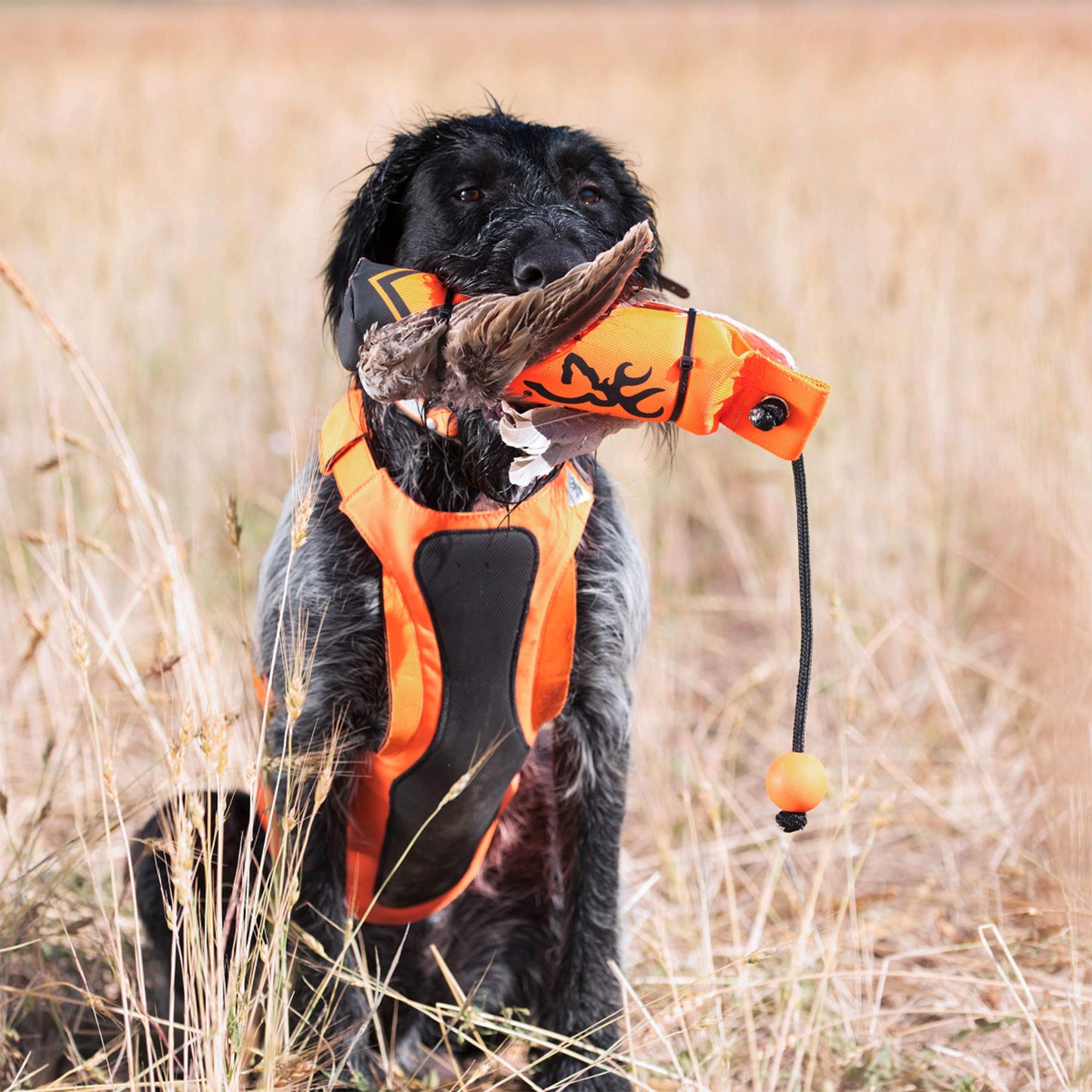 Browning Pet Hunting Durable Vinyl and Canvas Training Dummy, Fetch and Retrieve Dummy