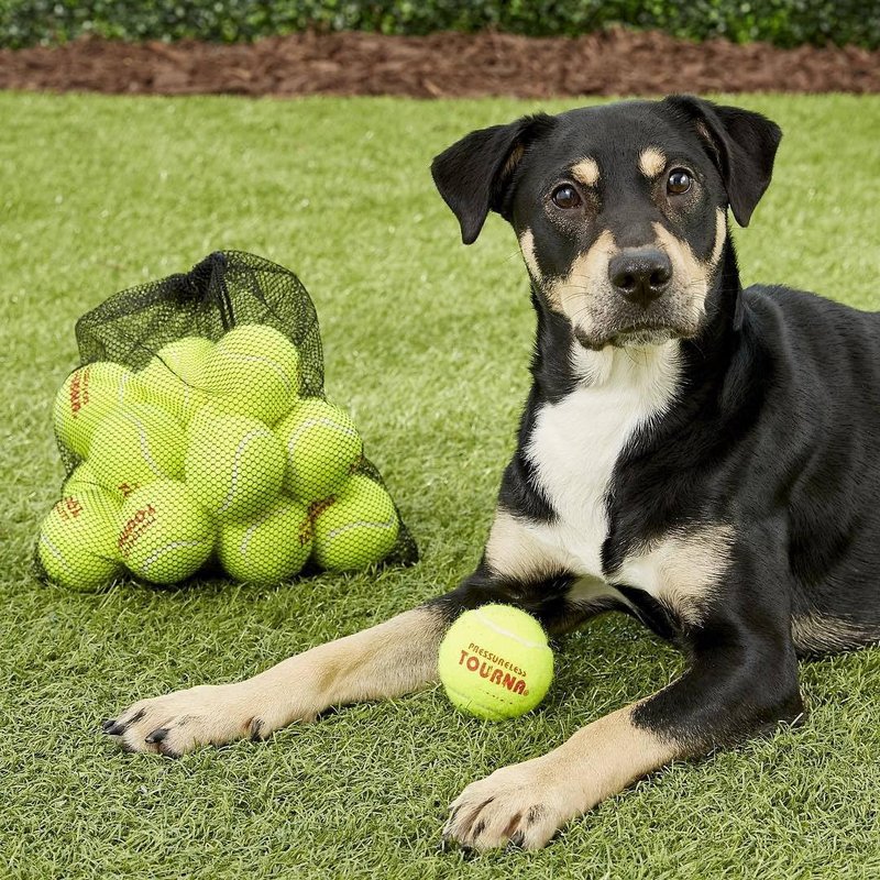 Tourna Pressureless Tennis Balls with Vinyl Tote (45 pack of balls)