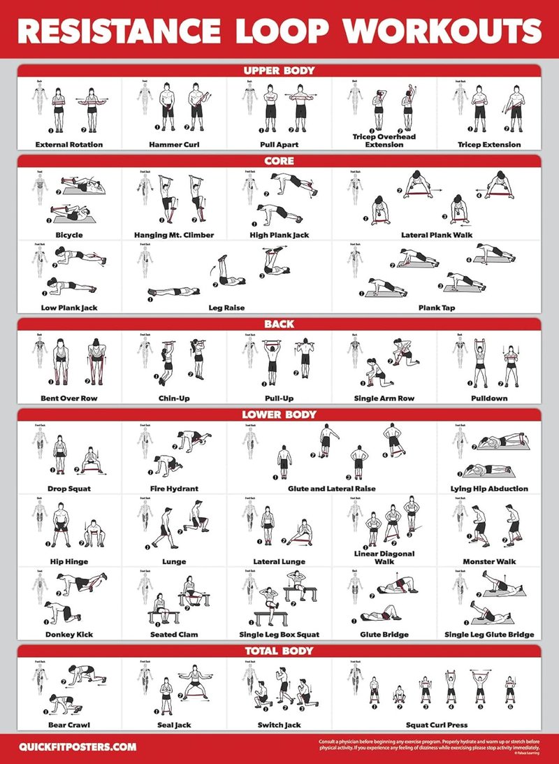 Dumbbell Workout Charts - 4 Pack of Laminated Exercise Guides | Bodyweight, Stretching & Resistance Loops (18” x 24”)