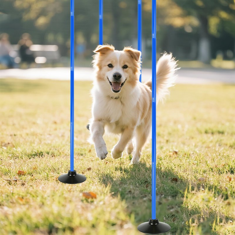 6 Pack Soccer Agility Training Poles, 5 FT Adjustable Speed and Agility Training Equipment for Football/Basketball/ Dog Practice, Bending Poles for Horses with Rubber Bases and Carry Bag (Blue)