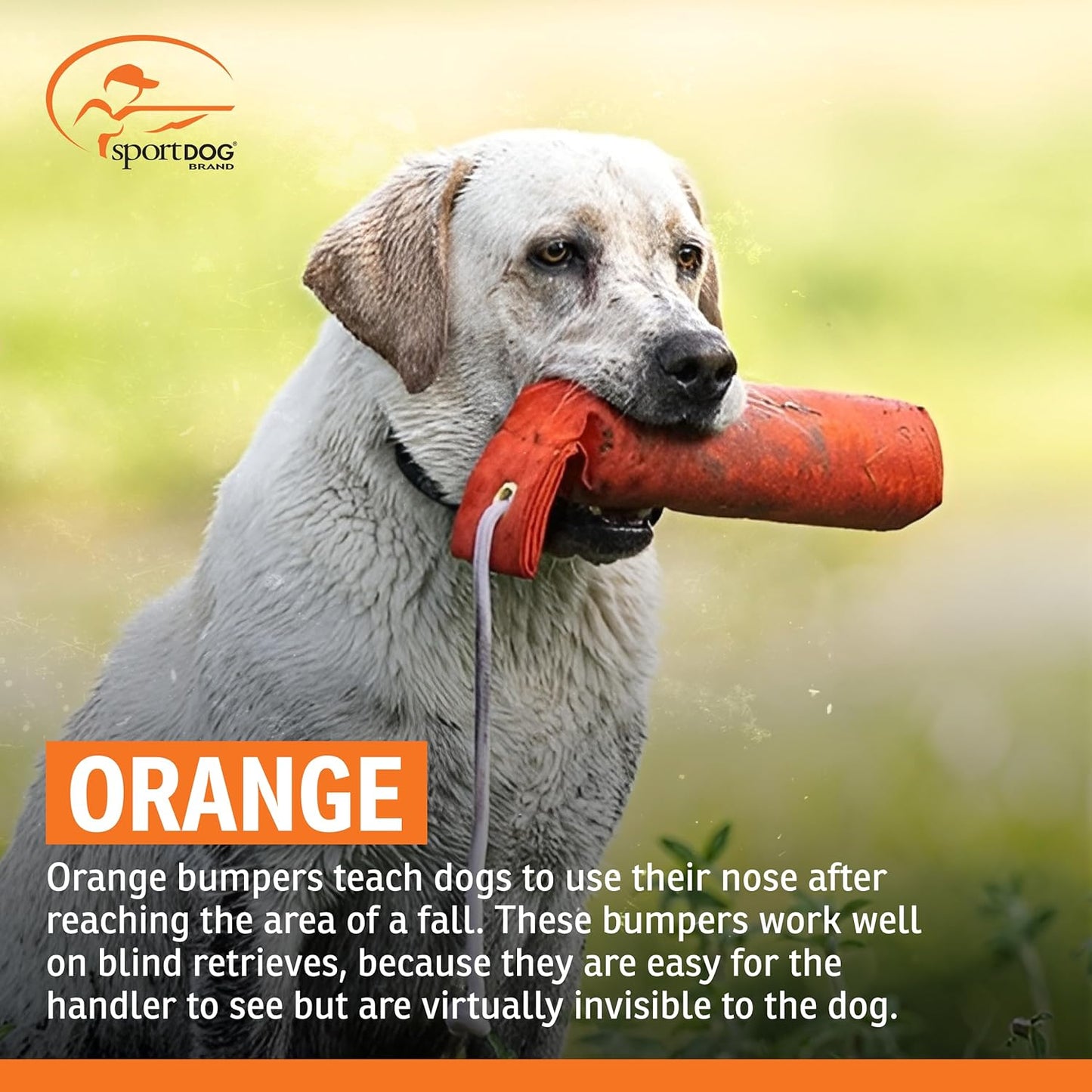 SportDOG Canvas Dummies - Durable Hunting Dog Training Tool - Water-Ready Bumper | Standard Size 2.75" W X 12" L - Orange
