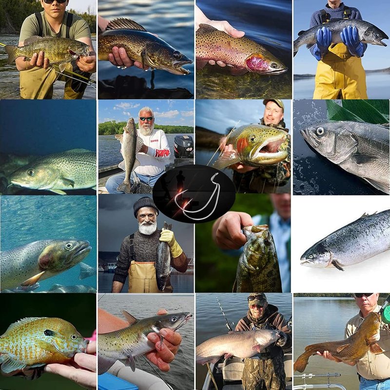Worm Fishing Hooks for Bass | 110-Piece Set in 6 Sizes | High Carbon Steel with Portable Box
