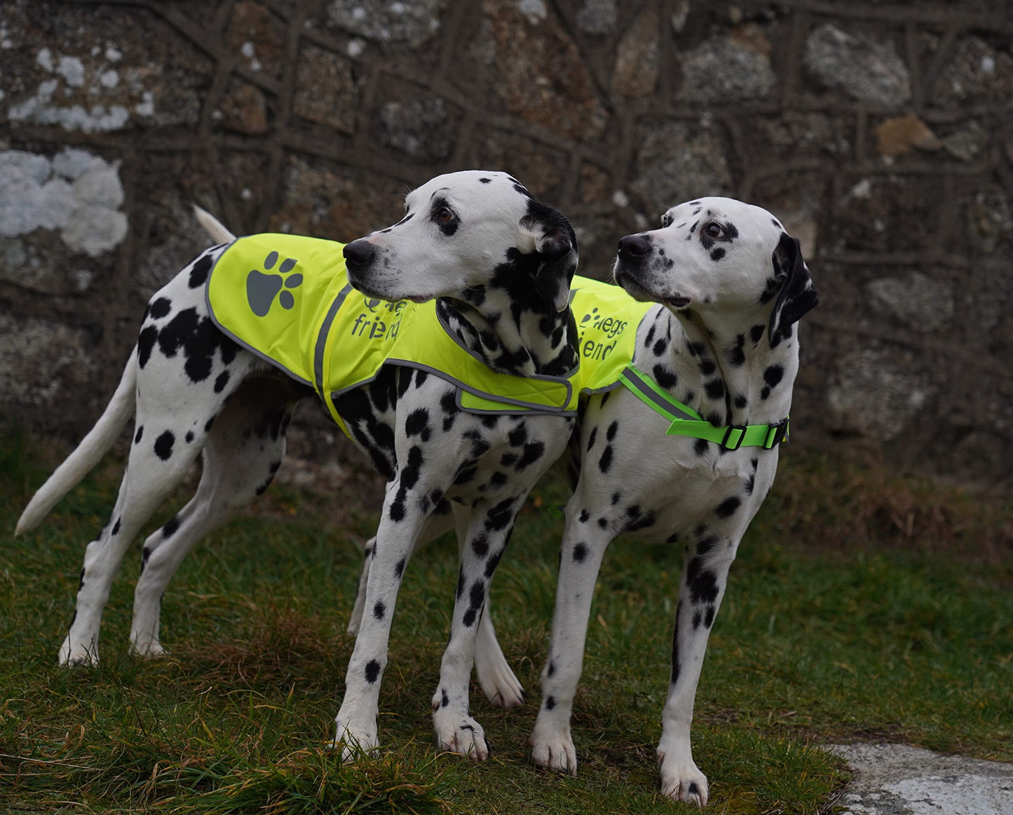 4LegsFriend Safety Reflective Vest for Dogs - High Visibility for Outdoor Activity Day and Night, Protect Your Pet from Cars & Hunting Accidents