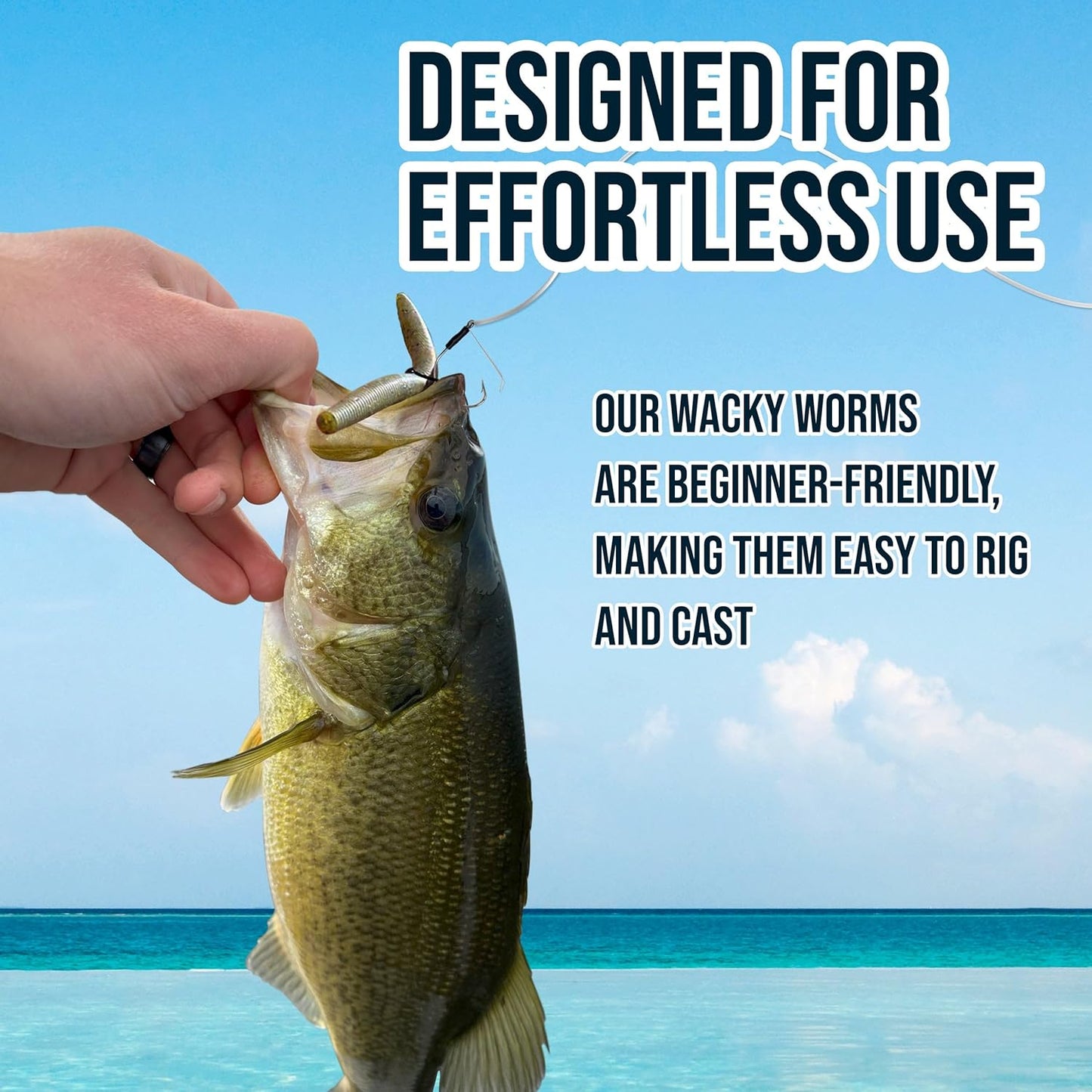 Wacky Worms Soft Plastic Fishing Baits - Durable 5.5in Lures for Bass | 24 Pack